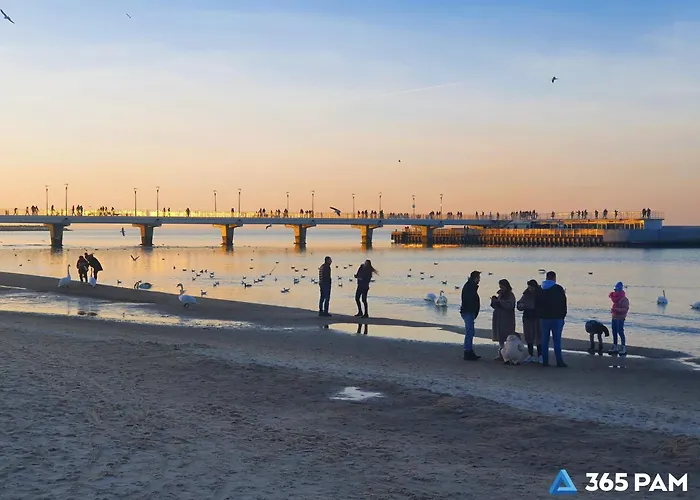 Apartment 365pam - Szum Morza - W Diune *