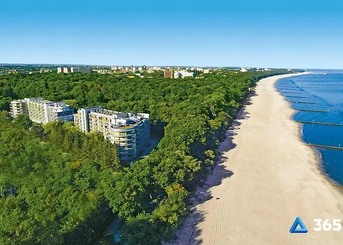 365pam - Szum Morza - W Diune *